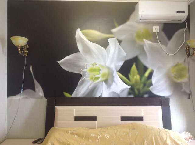 Гостевой дом Guesthouse Maria Гагра-47